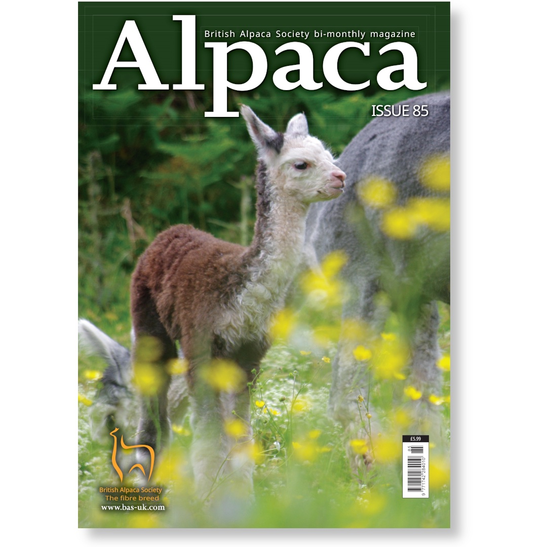 Alpaca Magazine
